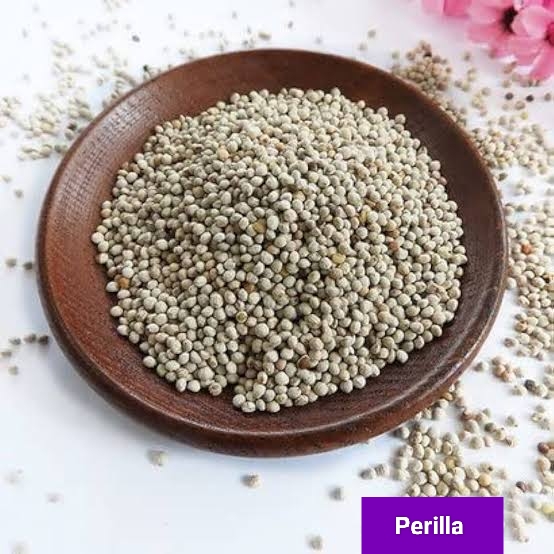 Seed